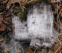 Vein of Ice