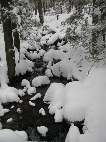 Powdery Snow