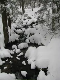 Powdery Snow