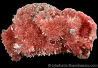 Elongated Inesite Crystal Cluster