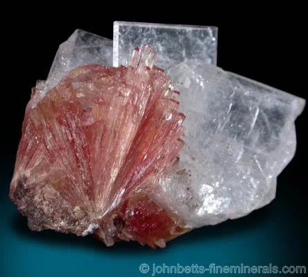 Radiating Inesite with Apophyllite