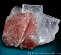 Radiating Inesite with Apophyllite