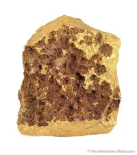 Drusy Jarosite Crystals
