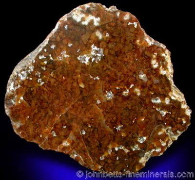 Polished Jasper Nodule