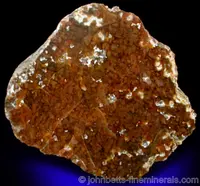 Polished Jasper Nodule