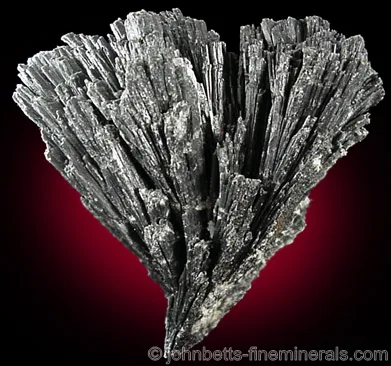 Fan-Shaped Black Kyanite