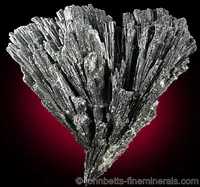 Fan-Shaped Black Kyanite