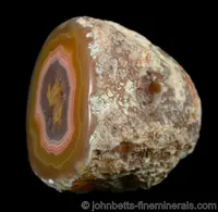 Laguna Agate Nodule
