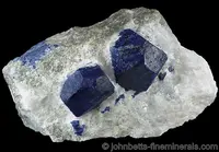 Two Matrix Lazurite Crystals