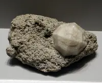 Perfect Leucite Crystal on Matrix