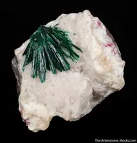 Radiating Malachite on White Calcite