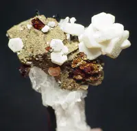 Manganoneptunite with Rare Minerals