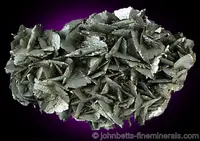 Thin Bladed Marcasite Cluster