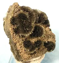 Velvety Acicular Millerite Balls