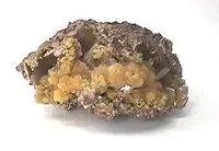 Botryoidal Mimetite with Wulfenite