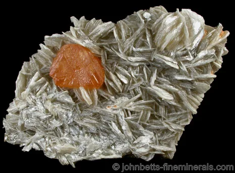 Muscovite Plate with Scheelite Crystal
