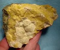 Tan Radial Natrolite