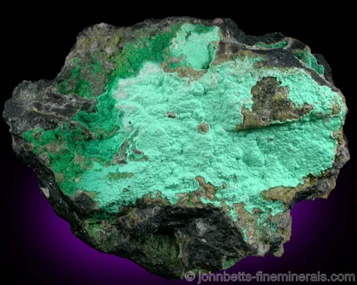 Serpentine var. Nepouite