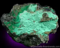 Serpentine var. Nepouite