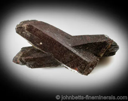 Brown Intersecting Neptunite Crystals