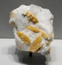 Large Norbergite Crystals in Matrix