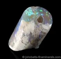 Opalized Fossil Bone