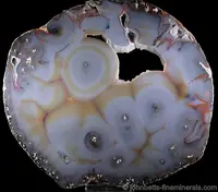 Orbicular Agate