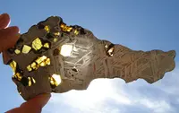 Pallasite Meteorite