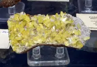 Paradamite Crystal Clusters