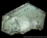 Green Phlogopite