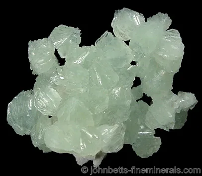 Gemmy Prehnite Cluster