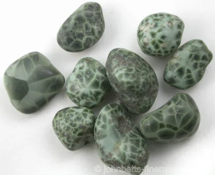 Pumpellyite Var. Chlorastrolite