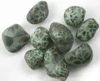Pumpellyite Var. Chlorastrolite