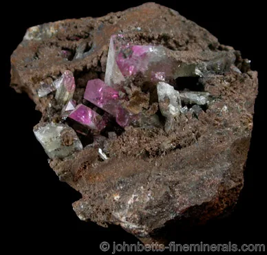 Purple Cobaltoadamite