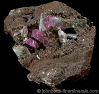 Purple Cobaltoadamite