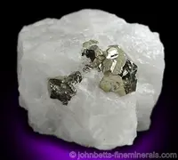 Pyrite in White Quartz