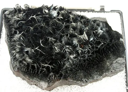 Hairy Acicular Pyrolusite
