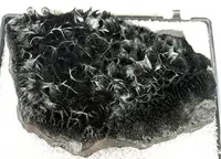 Hairy Acicular Pyrolusite