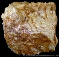 Radiating Cluster of Pyrophyllite