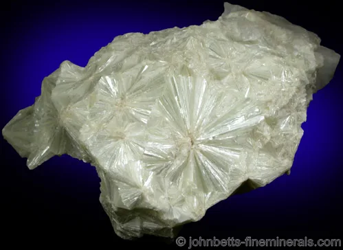 Whtie Radiating Pyrophyllite