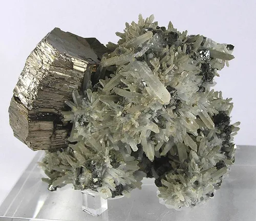 Pyrrhotite Ribbon on Quartz
