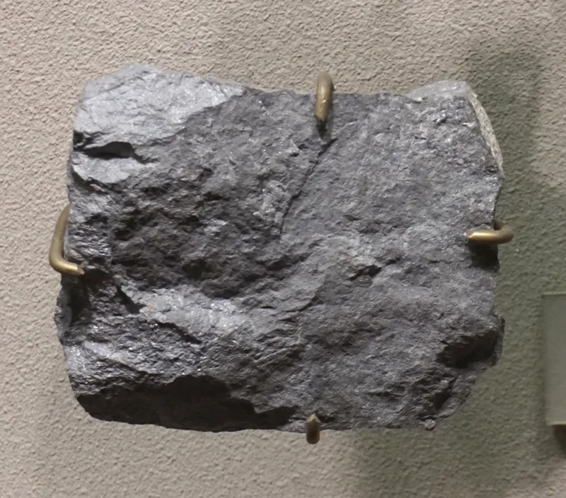 Massive Rammeslbergite