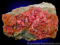 Dense Realgar Crystals Covering Matrix