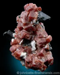 Dark Rhodochrosite on Aegirine