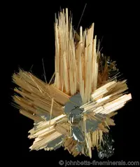 Acicular Golden Rutile Spray