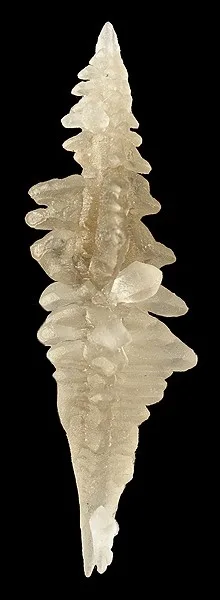 Skeletal Sal Ammoniac Crystals