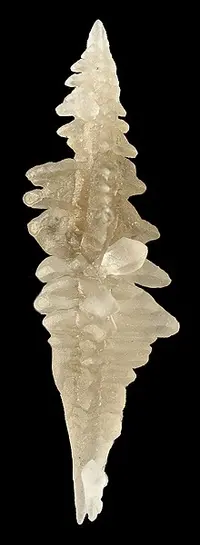 Skeletal Sal Ammoniac Crystals