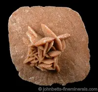 Gypsum With Sand Inclusions