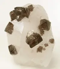 Chocolate-Brown Scheelite Crystals