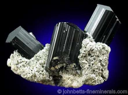 Several Schorl Crystals